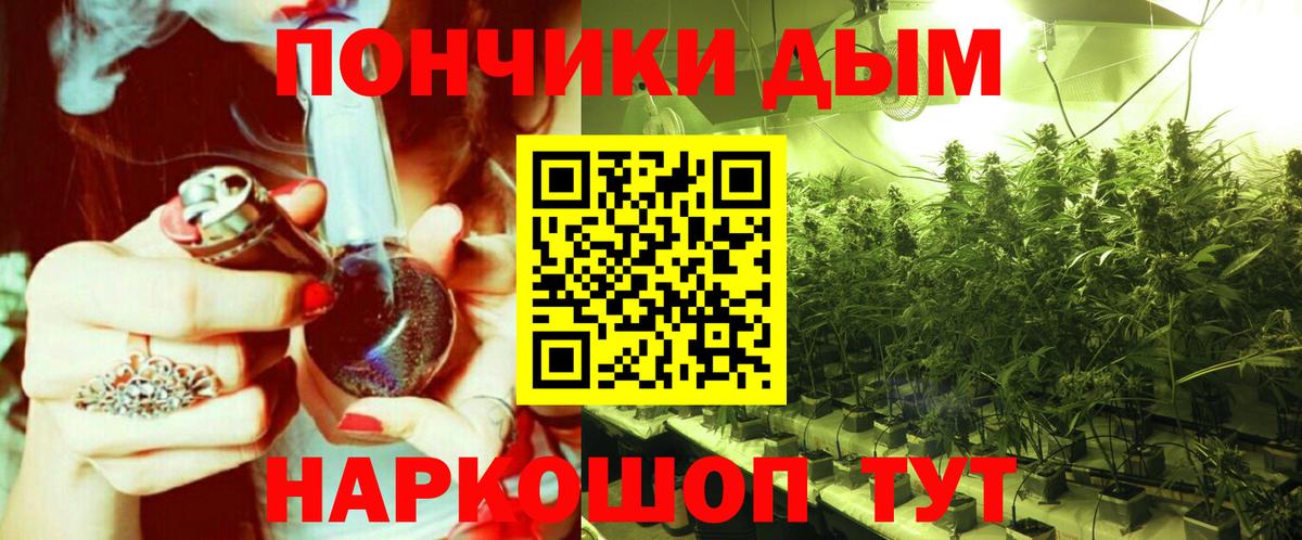 Каннабис сатива  Вход с VPN  Бошки марихуана план  Боровичи  Канабис ГИДРОПОН 